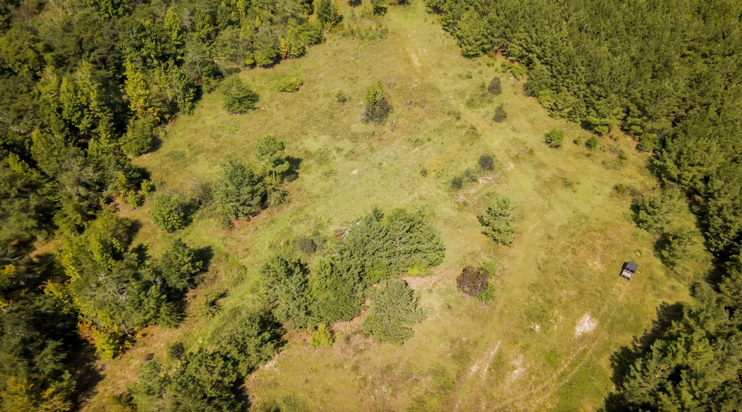 224.56 Acres | Buck Creek 224 | Montezuma, GA